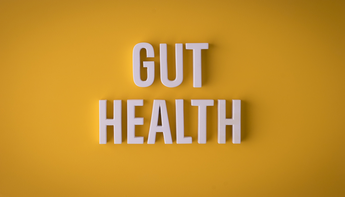 Gut health on yellow background | DNAfit Blog