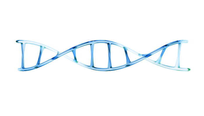 3D fragment of human DNA molecule | DNAfit Blog